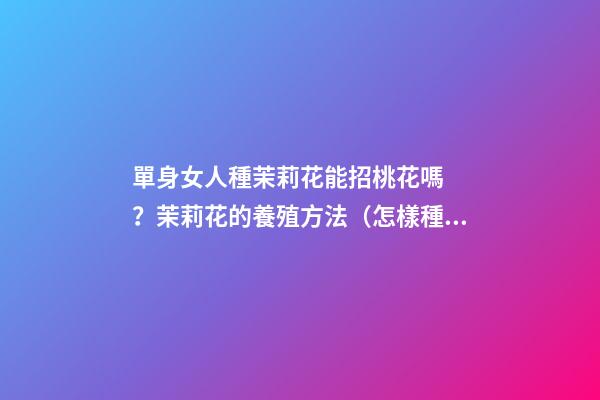 單身女人種茉莉花能招桃花嗎？茉莉花的養殖方法（怎樣種植茉莉花才多花）